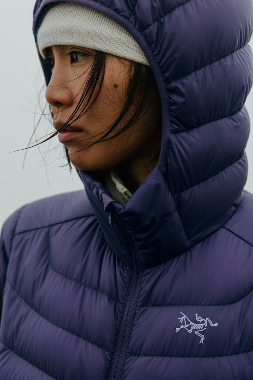 Arcteryx
